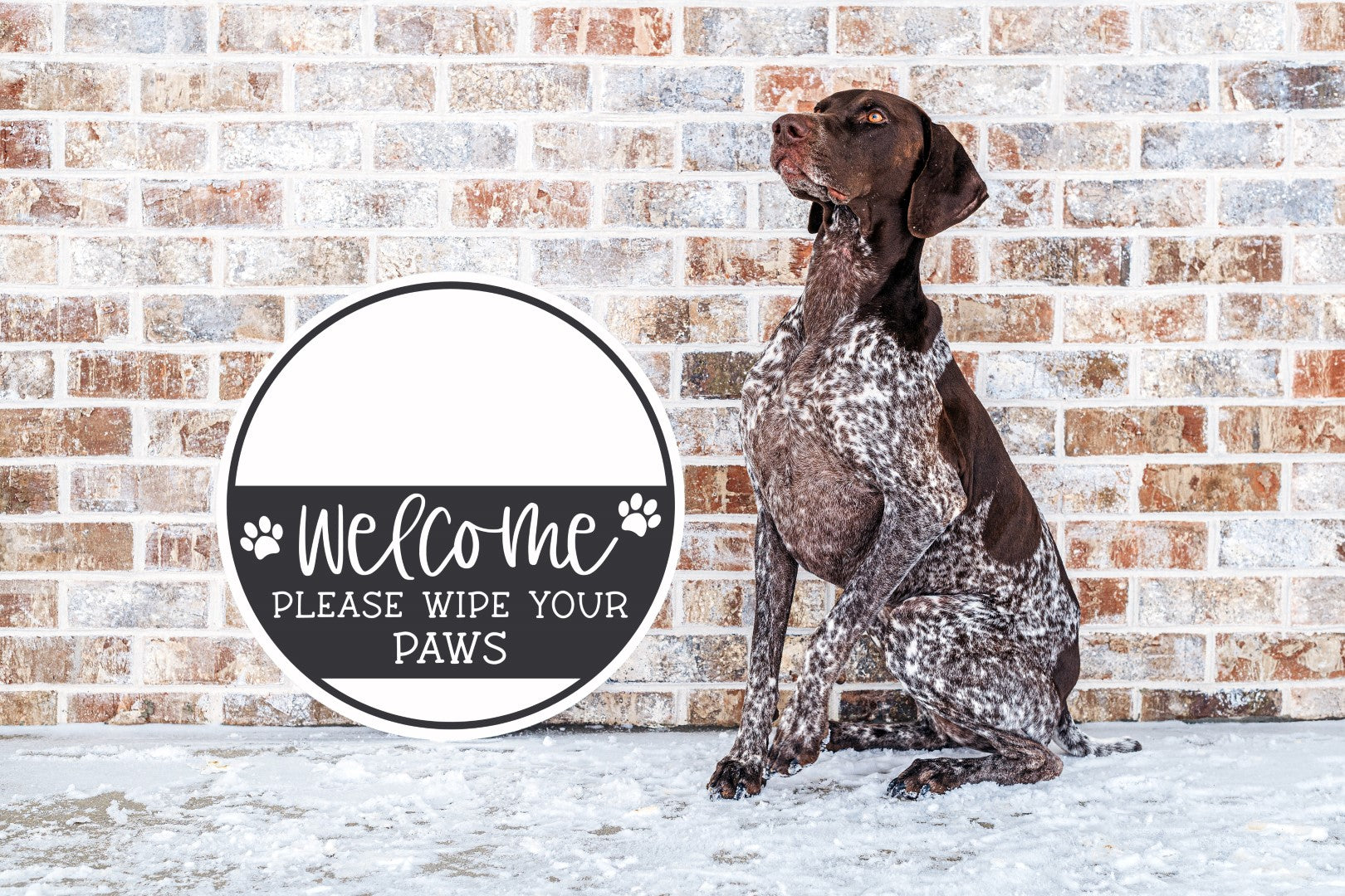 WELCOME WAGS WORKSHOPS