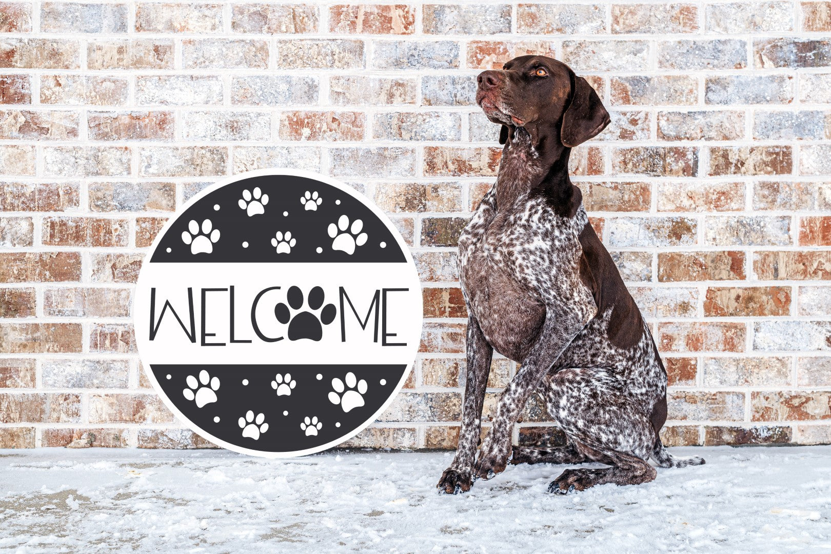 WELCOME WAGS WORKSHOPS