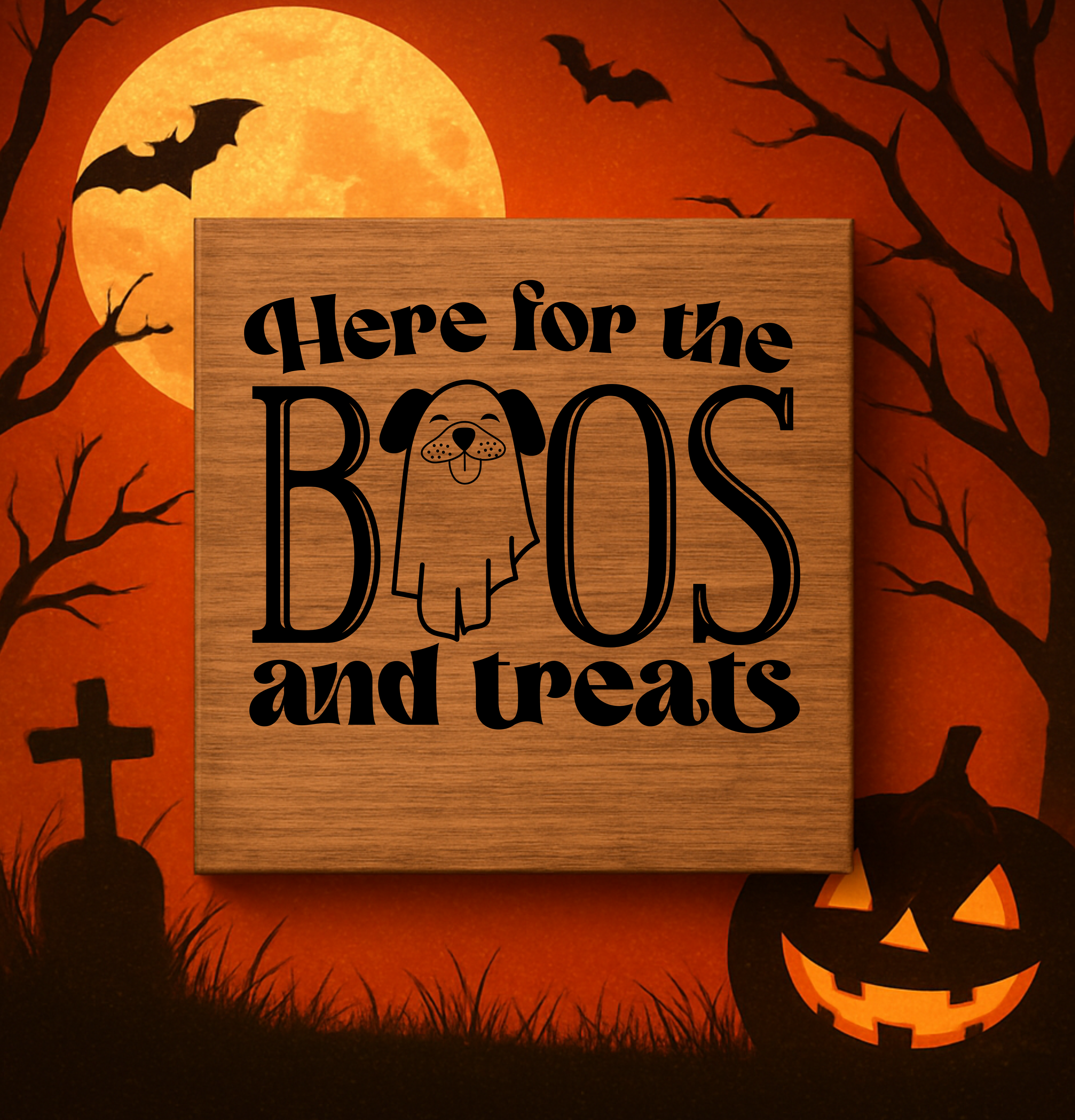 BOO SQUARES PET EDITION COLLECTION