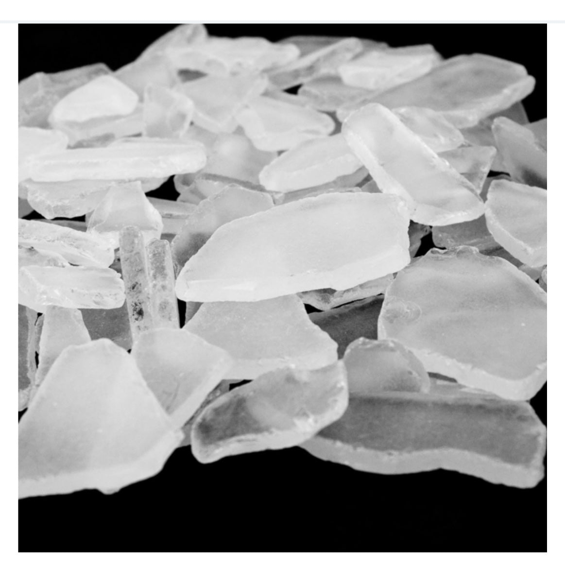 THE VILLAGES SEA GLASS HOLIDAY TREES-NOV 5TH,2PM