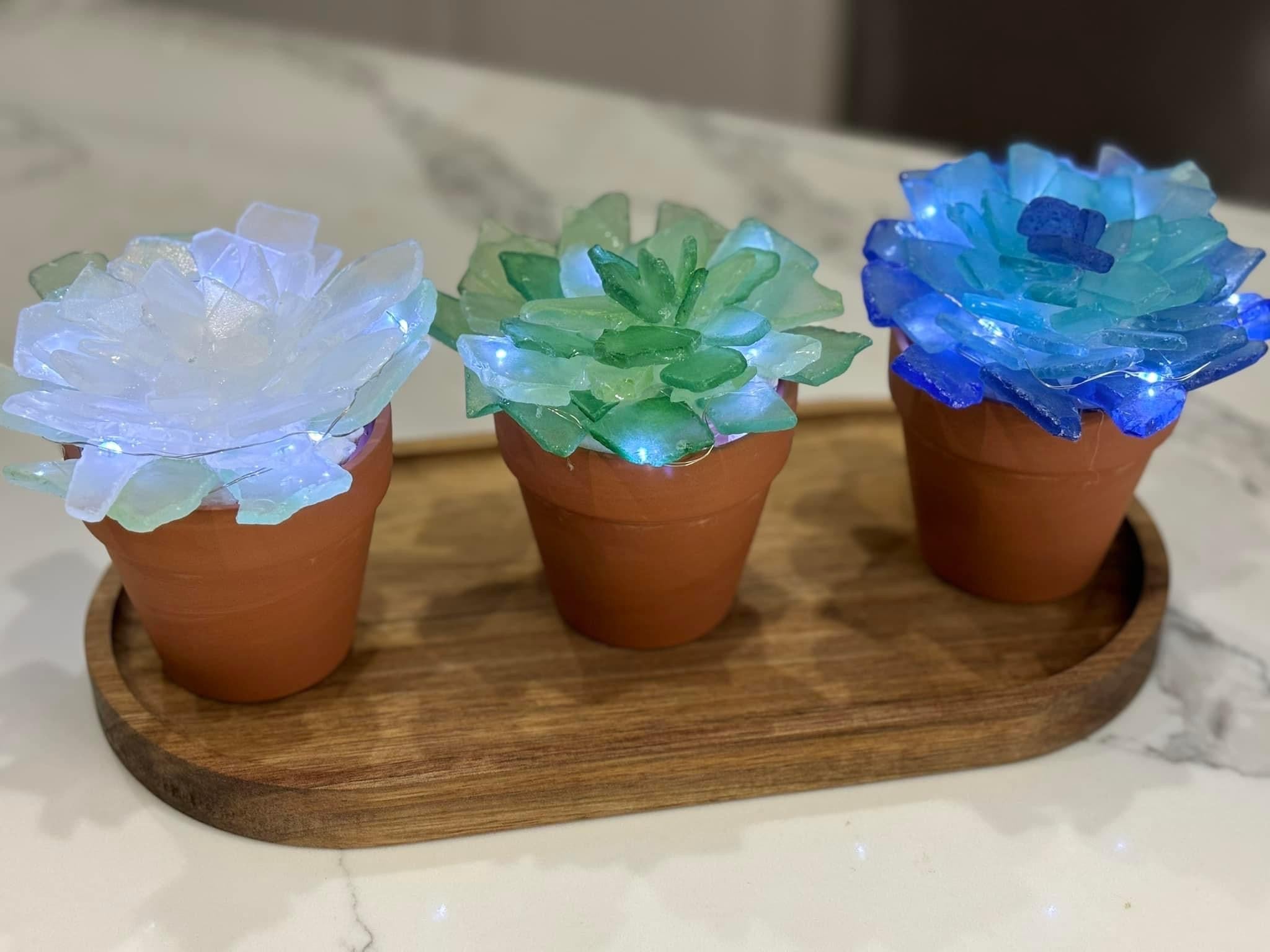 SEA-INSPIRED GLASS TREES & SUCCLENTS MAY 3RD, 11AM